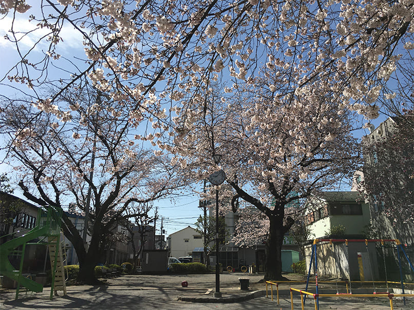 春はこんな景色が