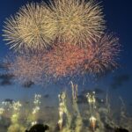 いたばし花火大会の様子3