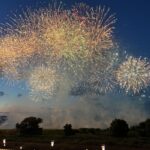 いたばし花火大会の様子6